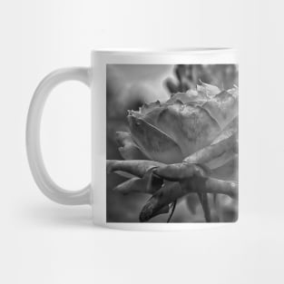 Silk Curl Mug